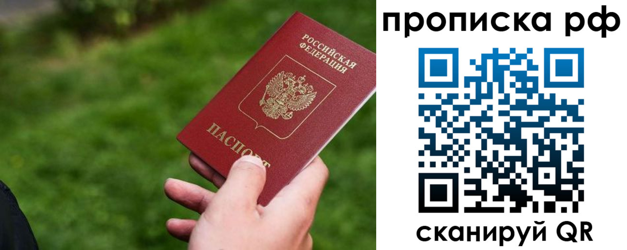 прописка для работы в Коле